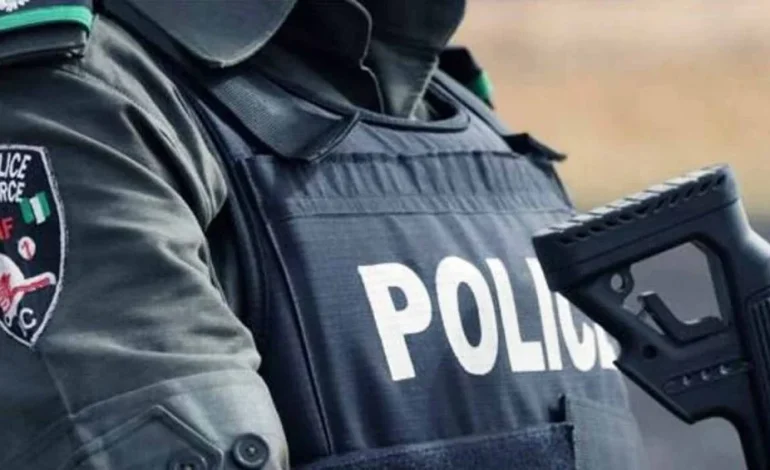 Police Arrest 58 Armed Robbery, Kidnap Suspects In Adamawa