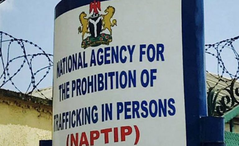 NAPTIP Denies Allegation Of Unlawful Detention Of Ibadan Businesswoman