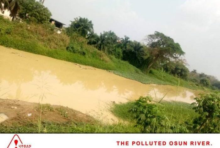 Osun River Contamination: 100m Traditional Religion Practitioners To Be Affected Worldwide 