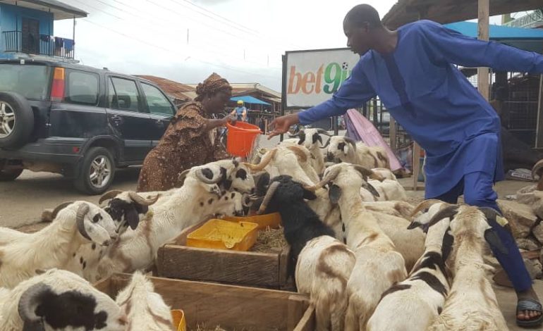 Eid-El-Kabir: Traders Bemoan Low Patronage, High Cost Of Livestock, Others