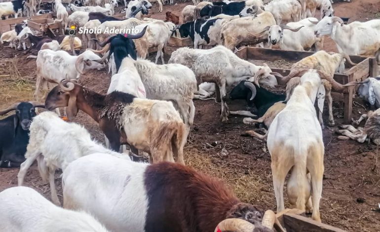 Hike In Price Of Ram, Food Items, May Hinder Blissful Sallah