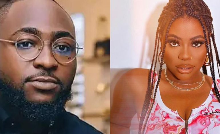 Sophia Momodu Files 102-Paragraph Affidavit Against Davido Over Joint Custody Of Daughter