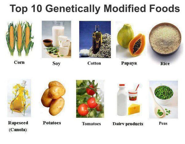 GMO Foods: Only Food For Our ‘Thoughts’?