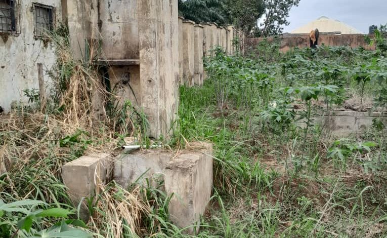 How Osun Rehabilitation Centre Was Vandalised, Looted Under Oyetola’s Govt