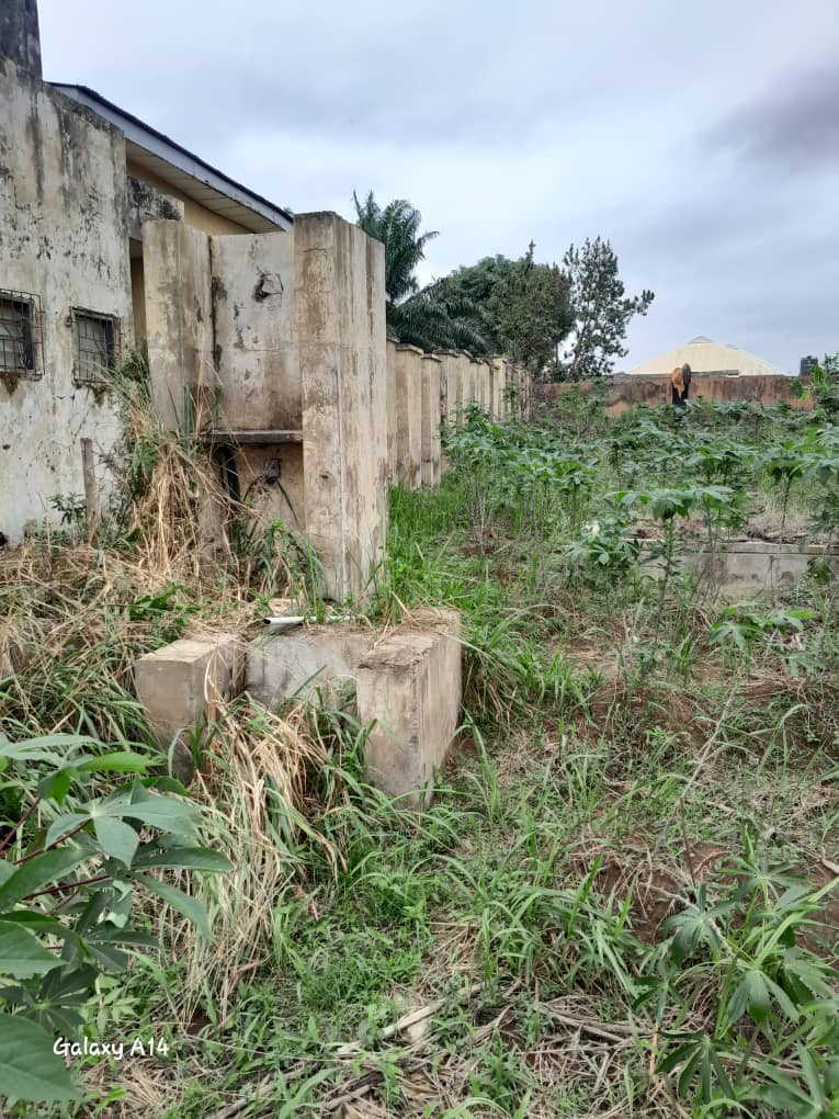 How Osun Rehabilitation Centre Was Vandalised, Looted Under Oyetola’s Govt