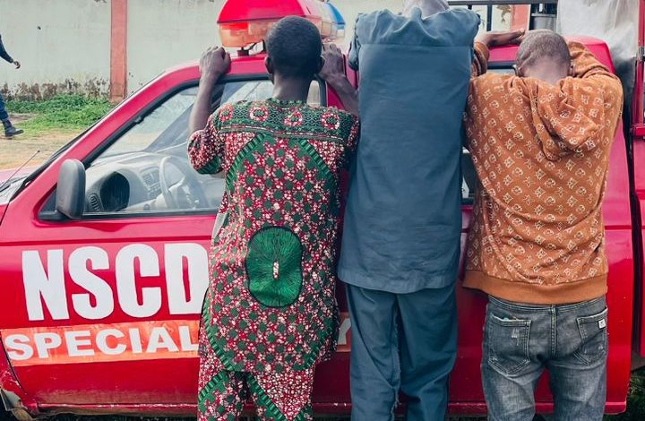 Osun NSCDC Nabs Ex-Convict, Cultist Who Specialises In Phone Stealing