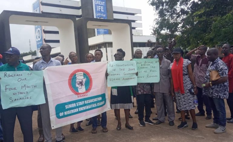 Protest Rocks OAU, Other Universities As SSANU, NASU Demand Payment Of Withheld Salaries