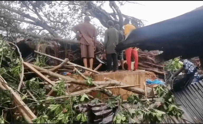 Centuries-Old Trees Collapse, Claim 4 Lives, Several Injured