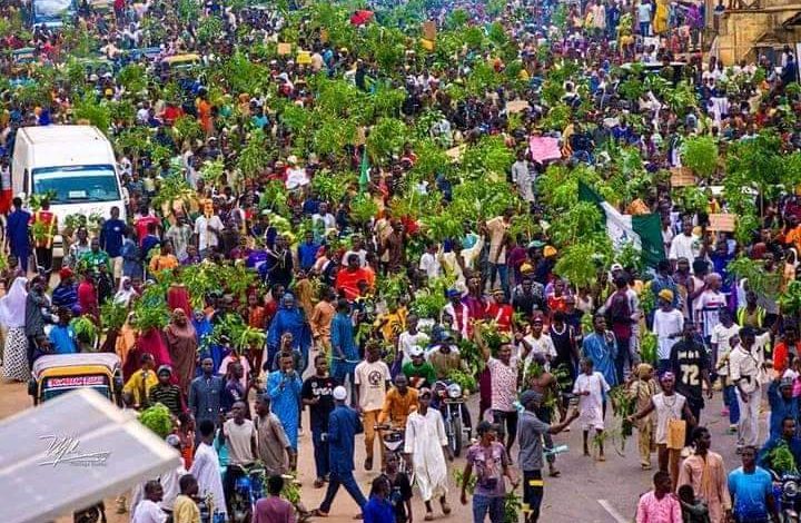 Kano Group Threatens Indefinite Protest