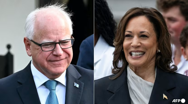 US Presidency: Harris Picks Minnesota Gov, Walz As Running Mate