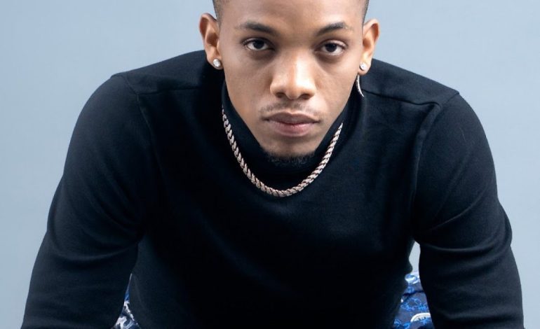 FACT CHECK: Did Singer Tekno Collapse On Stage?