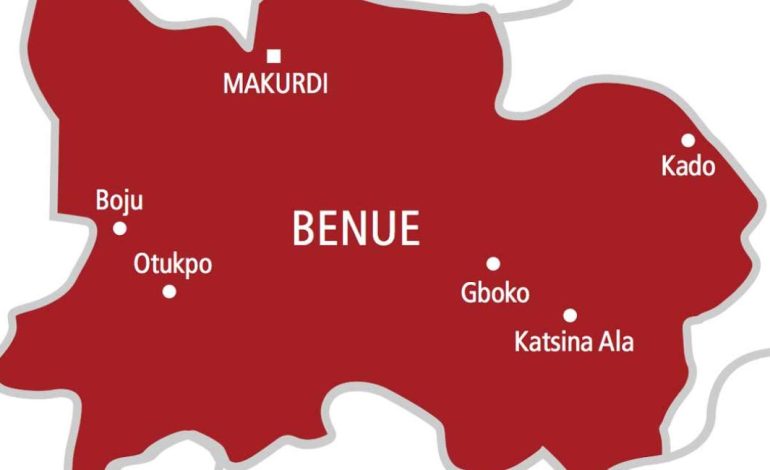 17-Year-Old Housewife Kills Stepson In Benue