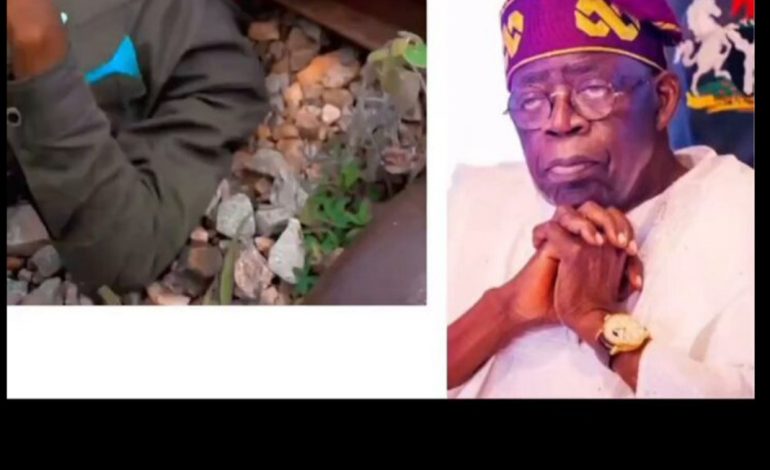 Reactions As Bandit Calls For Nigerians Support To Kidnap President Tinubu (Video)