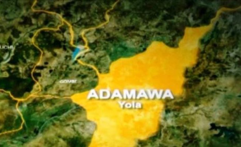 Diarrhoea Epidemic Kills 10 In Adamawa