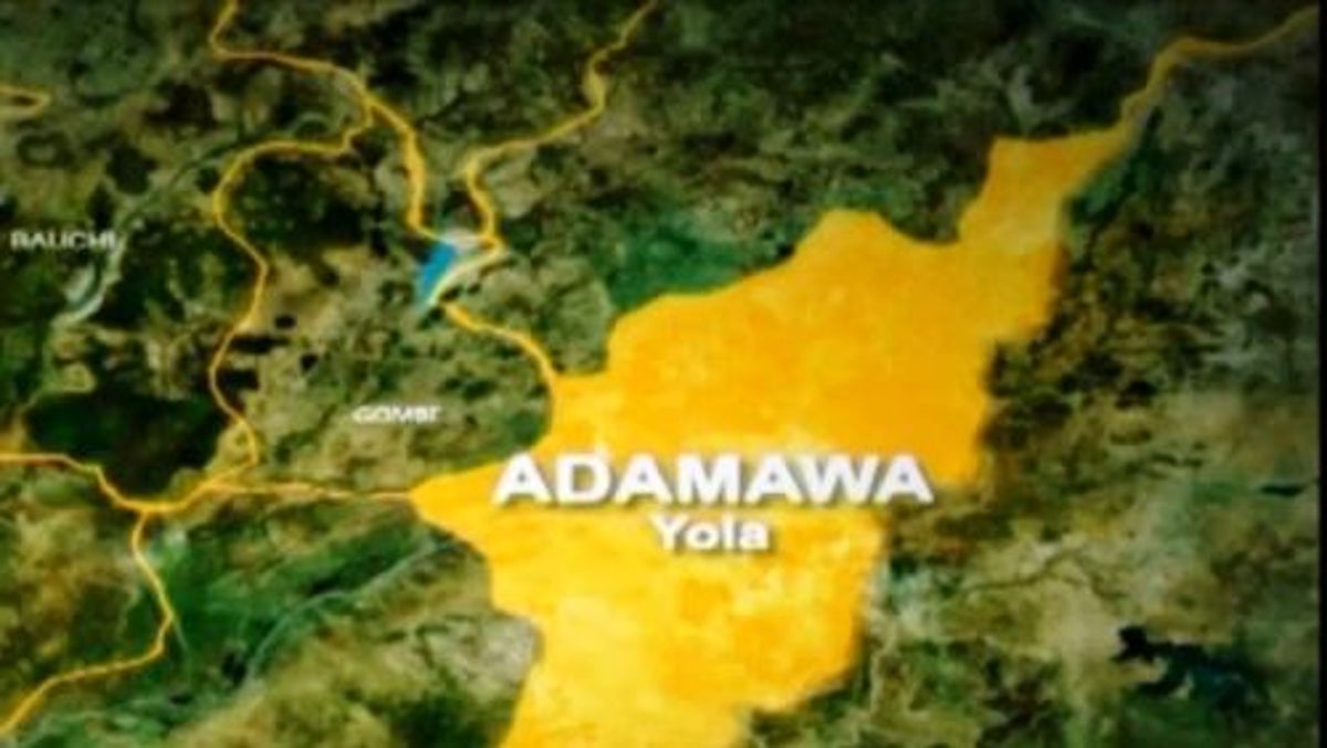 Diarrhoea Epidemic Kills 10 In Adamawa