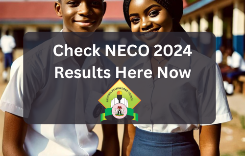 Easy Ways To Check Your 2024 NECO Results Via Online, SMS