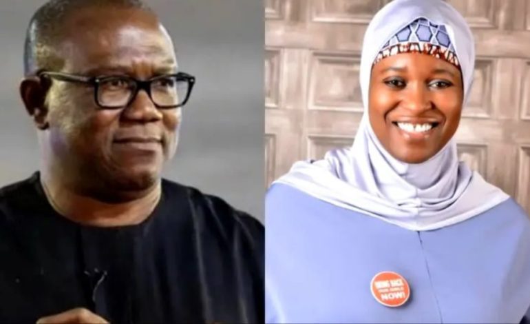 Campaign Funds: Probe Peter Obi, Afenifere, Yesufu – LP Tells EFCC, NSA