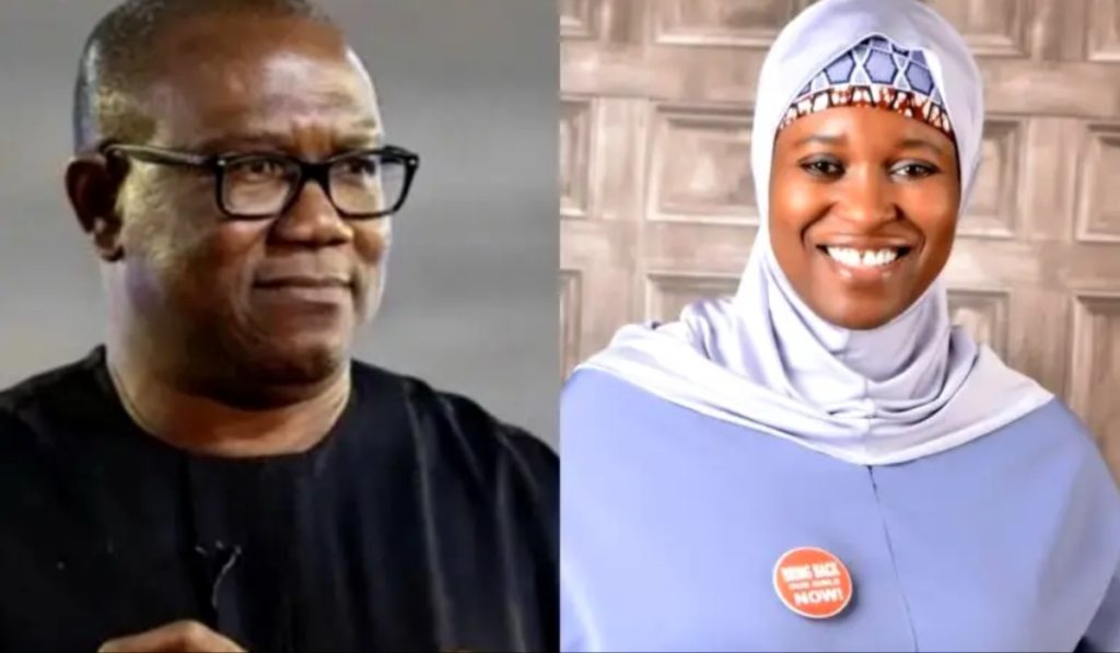 Campaign Funds: Probe Peter Obi, Afenifere, Yesufu – LP Tells EFCC, NSA