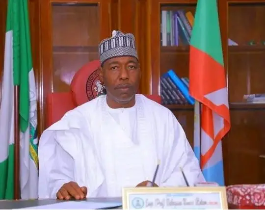 Flooding: Some Boko Haram Leaders Might Have Escaped Prison –Zulum