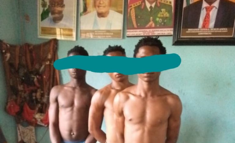 Amotekun Arrests Three Teenagers For Burglary, Theft