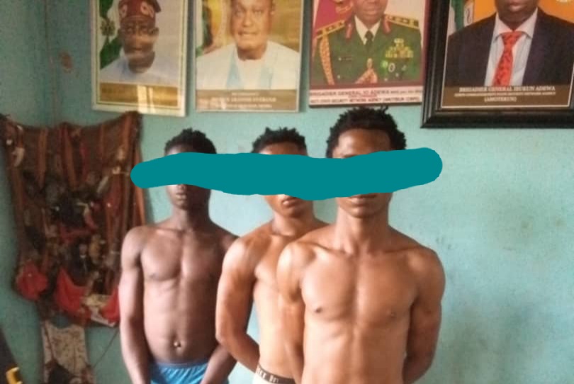 Amotekun Arrests Three Teenagers For Burglary, Theft