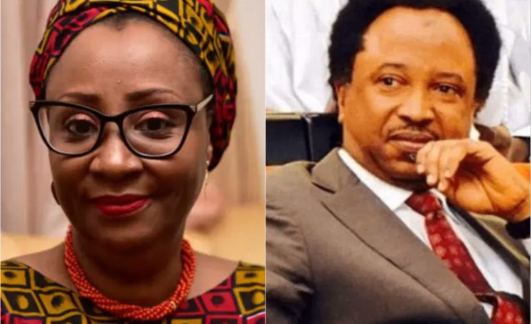 Drama As El-Rufai’s Wife, Shehu Sani Clash On X Over Grammar