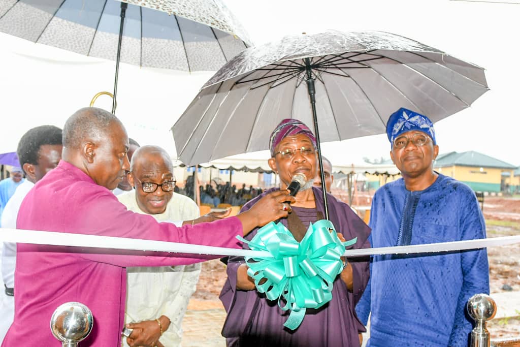 Africa Risks More Underdevelopment If Youths Do Not Embrace Self-Development – Aregbesola