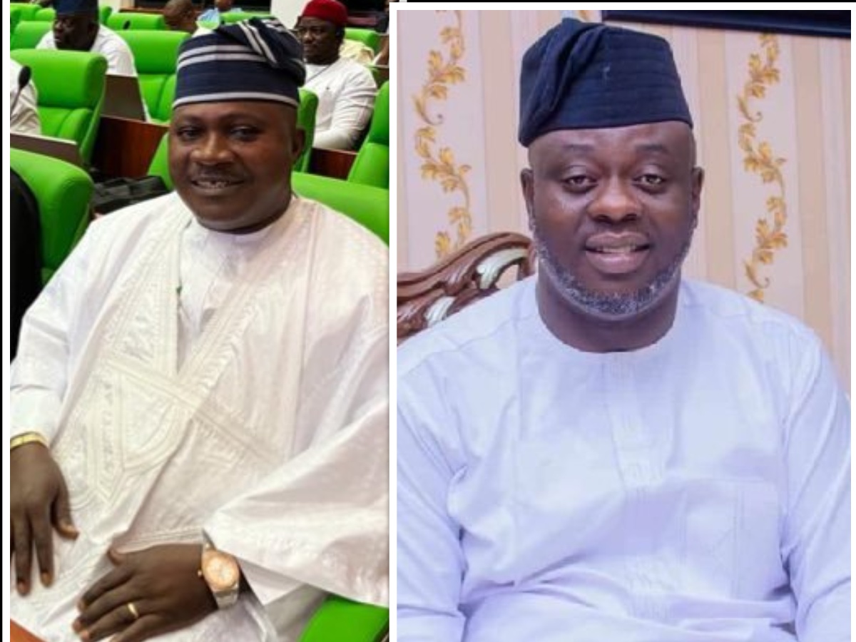 10th NASS:  Omirin, Oladebo Fail To Sponsor Bills In One Year