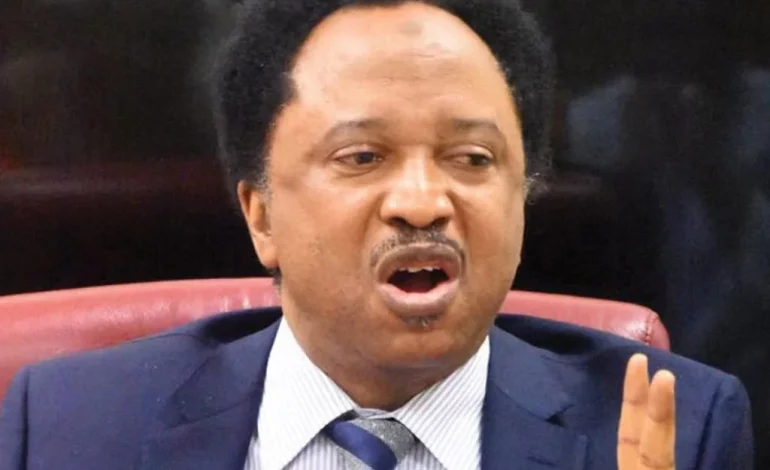 Christmas: Tinubu’s Free Train Only Provides Opportunities For Thugs – Shehu Sani