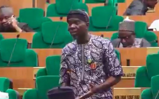 Moment Lawmaker Struggled To Move Motion During Plenary (Video)