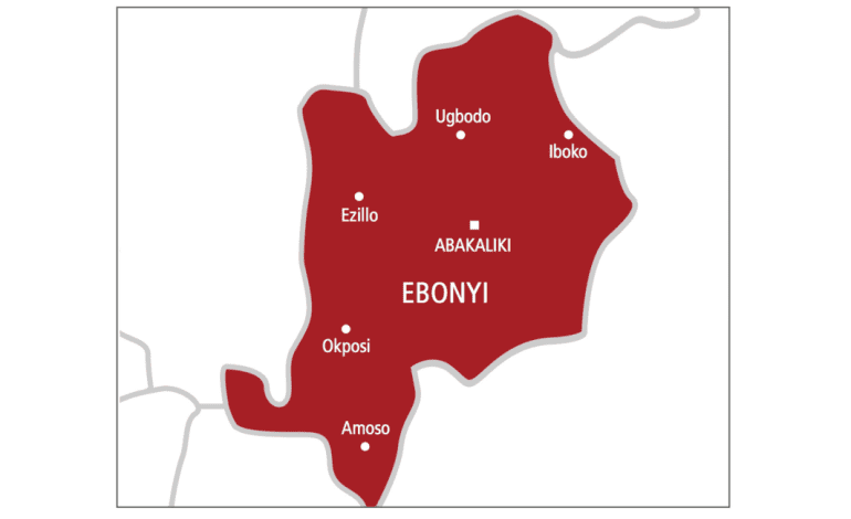 Sisters Kidnap Brother, Collect ₦30m Ransom