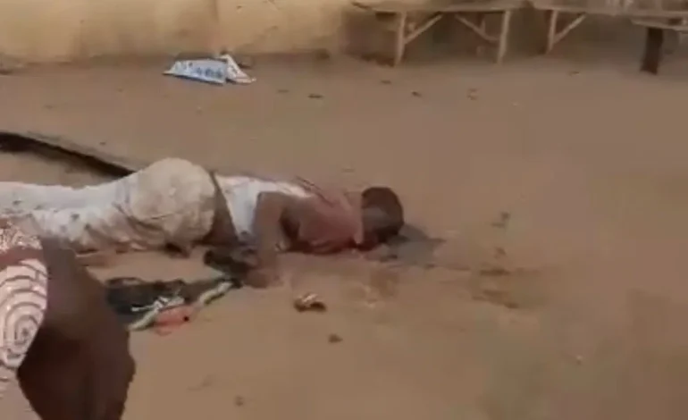 Your Nephew Oyetola Is Instigating Anarchy In Osun, Federal Lawmakers Tell Tinubu