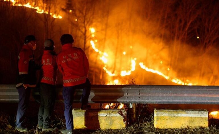 Deadly Wildfires In South Korea Kills 27, Displaced Thousands