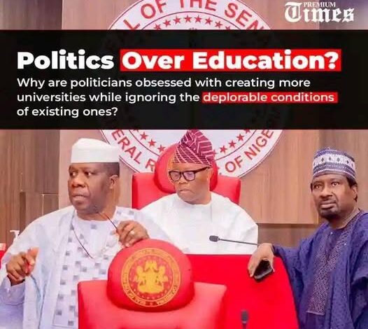APC Chieftain Joe Igbokwe Criticises FG For Creating More Universities
