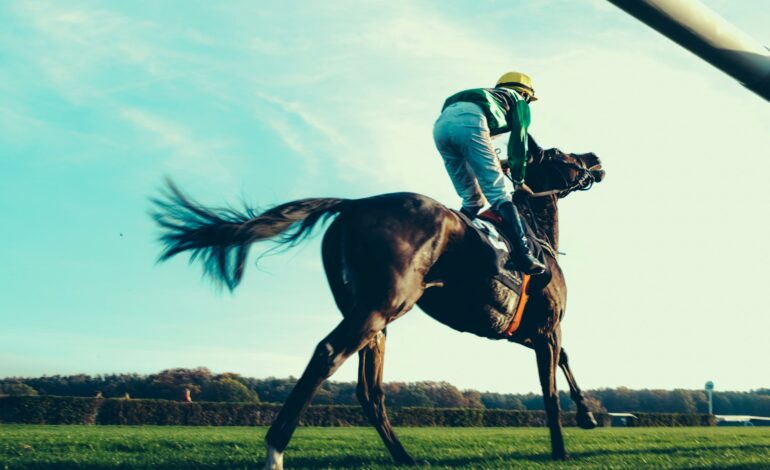 Belmont Stakes 2025: Everything You Need To Know About Triple Crown Last Race