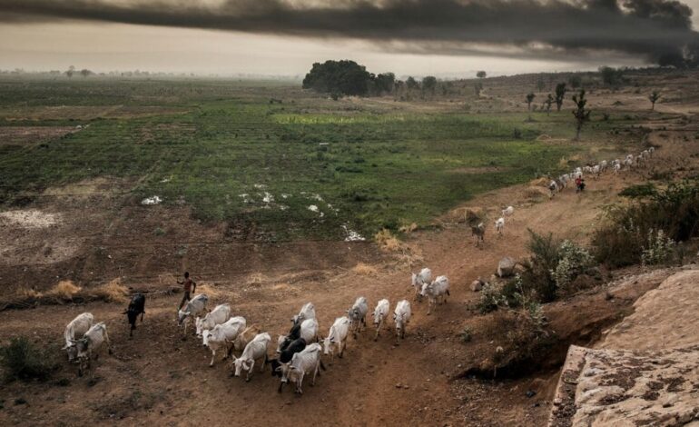 ‘Use Cattle Or Die’ – Lakurawa Terrorists Warn Kebbi Farmers Against Modern Equipment