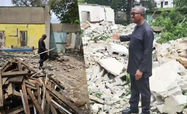 LP Reps Caucus Faults Demolition Of Peter Obi’s Family Property In Lagos