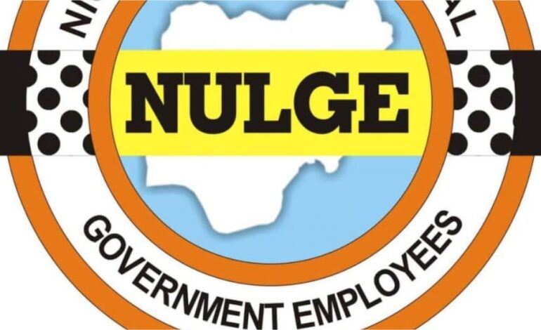 LG Crisis: NULGE Recognises Osun PDP Council Officials, Asks Tinubu To Call AGF To Order