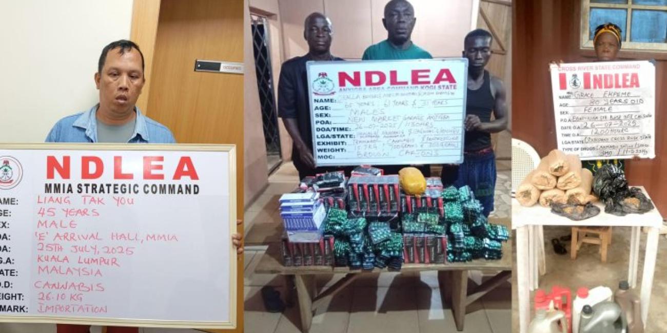 NDLEA Intercepts Cannabis Concealed In Moi-Moi Sachets