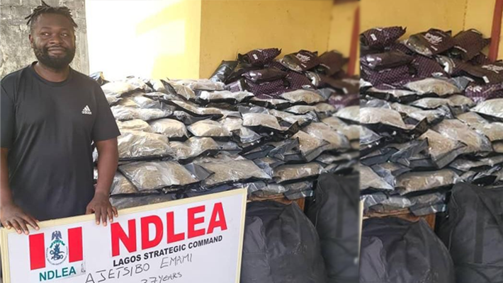 NDLEA Arrests Ajetsibo, Brother Of Tinubu’s Ally For Drug Trafficking