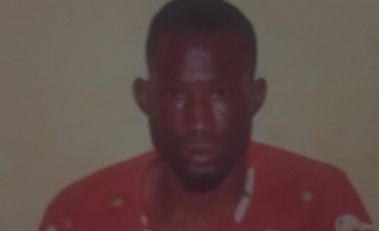 Man Bags Two Years For Stealing Farm Produce In Osun