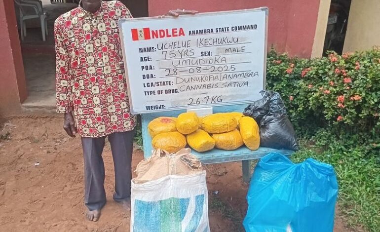 NDLEA Arrests 75-Year-Old Man, Destroys 178,000kg Cannabis in Taraba