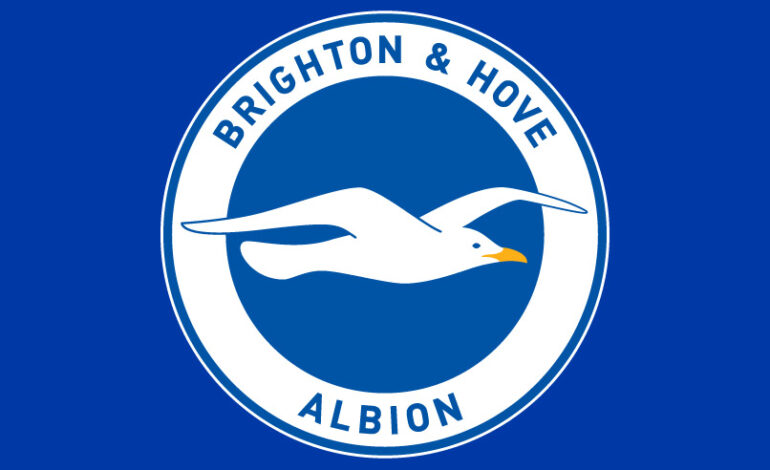 Fan Dies After Falling Ill At Fulham Game