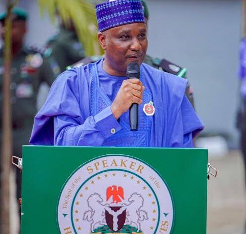 Insecurity Will Be History in Four Years, Says Speaker Abbas