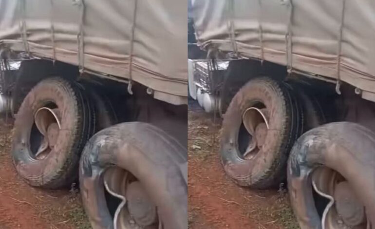 Dangote Truck Crushes Family, Others To Death In Enugu