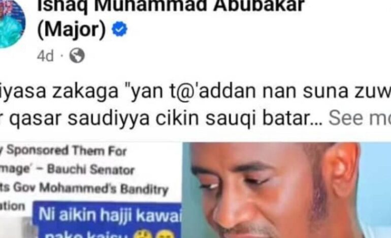 Police Arrest TikToker In Abuja Over Alleged Defamation Of Senator Shehu Buba