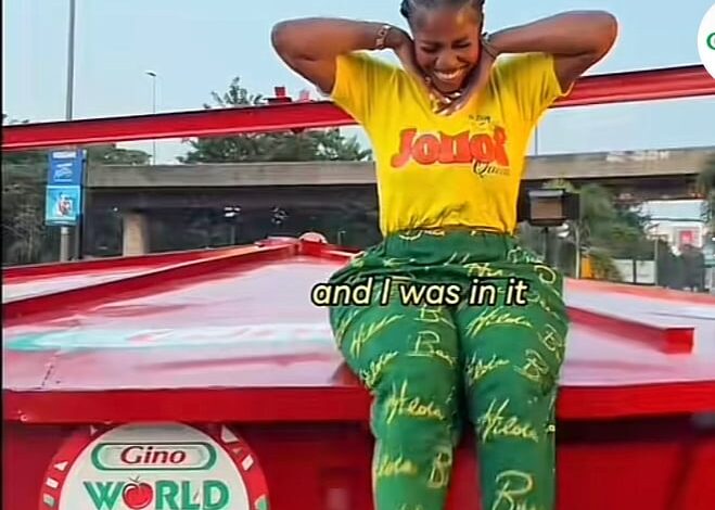 ‎What I’ll Do With My GWR Jollof Pot – Hilda Baci