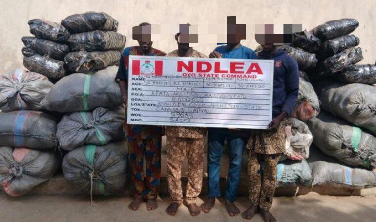NDLEA Intercepts Drugs Hidden In Frozen Snails, Electrical Bulbs