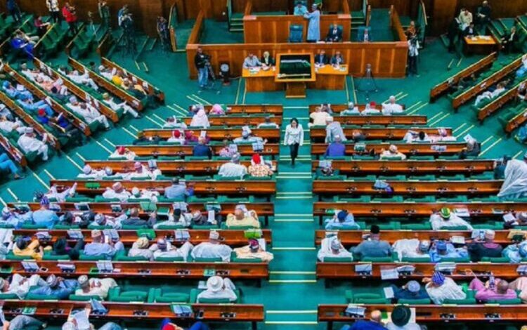 Reps Demand Probe Into Alleged Killing of Eight Protesters in Adamawa