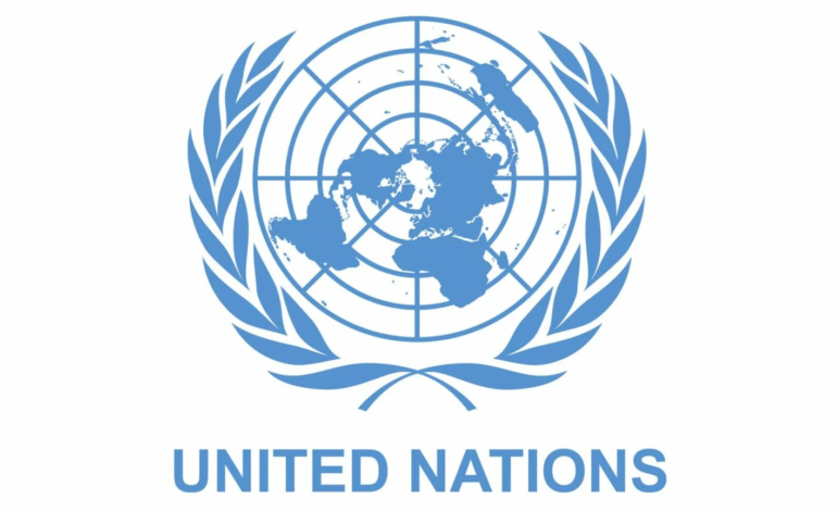 Returning Displaced Nigerians At Risk Of Landmine Explosions – UN